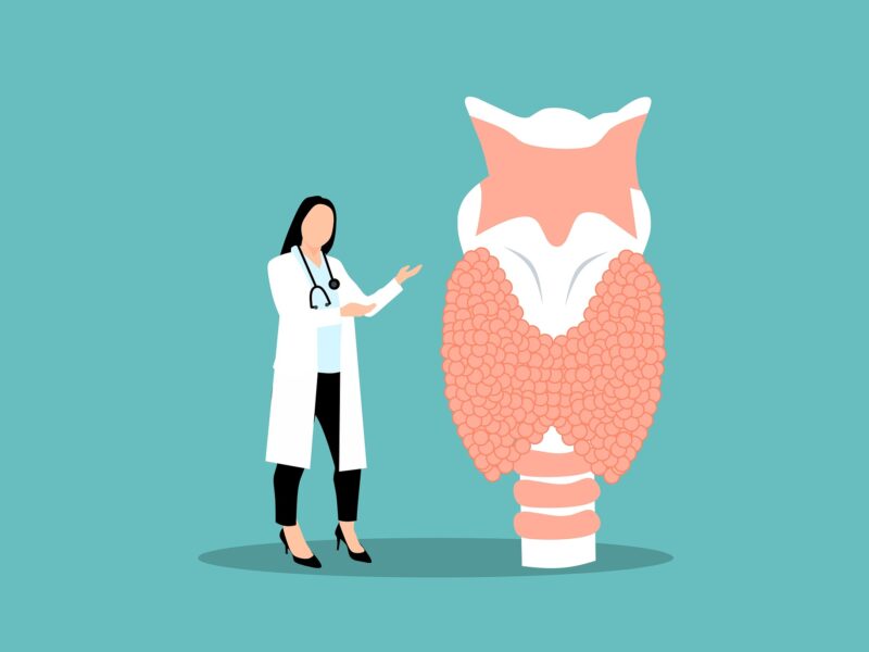 Formation d’échographie de la thyroïde – EchoFirst