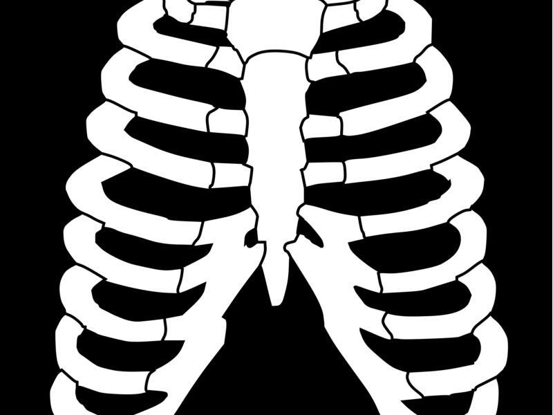 Echographie thoracique : tout savoir sur cet examen