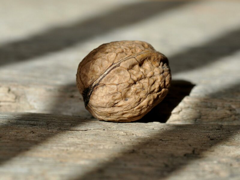 Échographie testiculaire : indications, déroulement et résultats